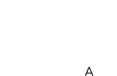 Logo Liuteria Russo - Liutaio Torino